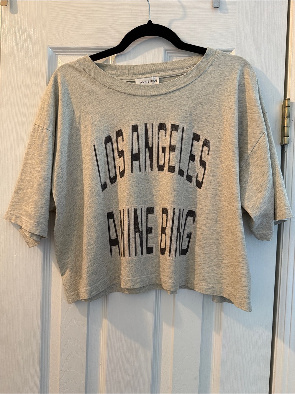 ANINE BING Los Angeles Graphic Cropped T-Shirt Gray